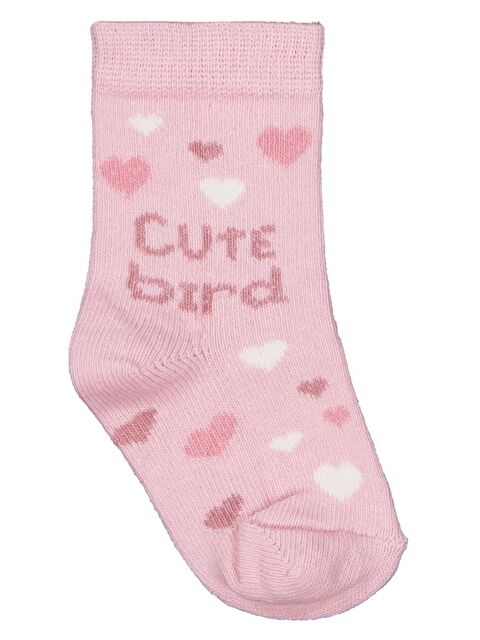 Civil Baby Cute Bird 3'lü 6- Bebek Kız Çorap Set - S000475003-37243