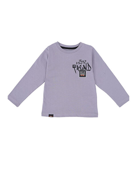 Toontoykids Erkek Çocuk Baskılı Tişört - S000417834-74