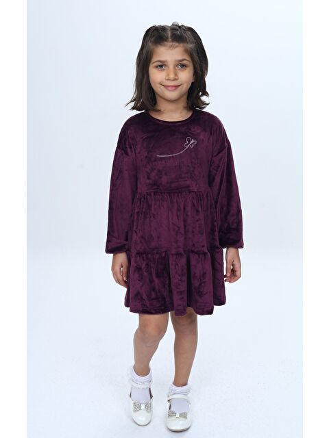 Toontoykids Kız Çocuk Nakışlı Elbise