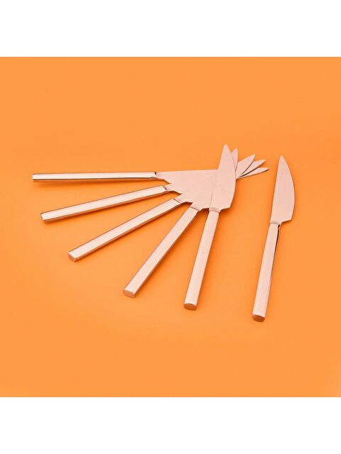 Arow 6'lı Yemek Bıçağı - Gri - S000393487-20600