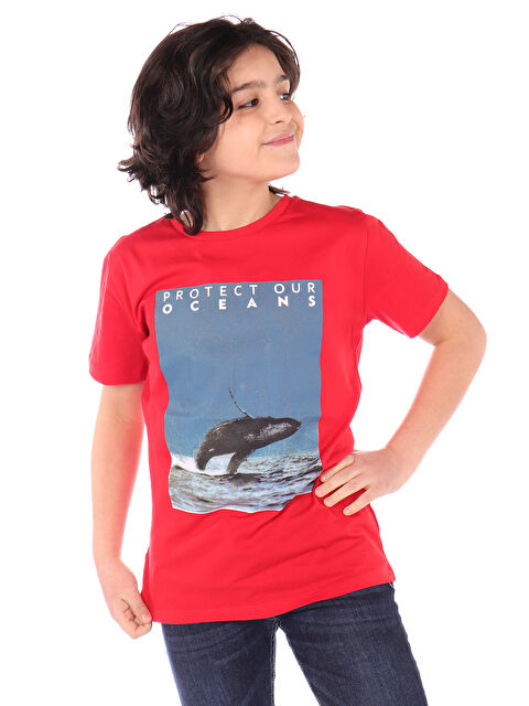 Toontoykids Erkek Çocuk Baskılı Tişört - S000417841-20045