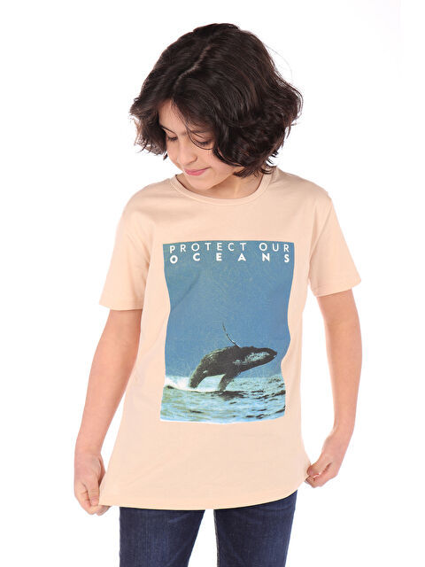 Toontoykids Erkek Çocuk Baskılı Tişört - S000417841-19928