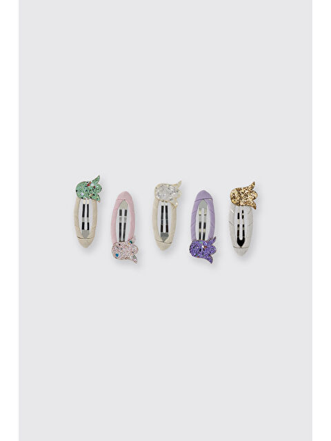 Panço Kız Çocuk Çıtçıt Toka Seti - S000525952-23173