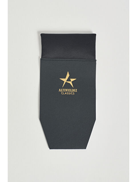 Altınyıldız Classics Erkek Siyah Cep Kart Mendili - S000422353-19351