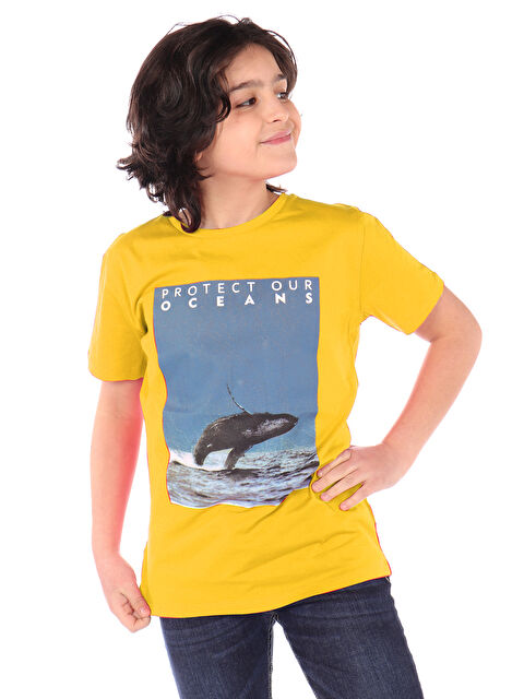 Toontoykids Erkek Çocuk Baskılı Tişört - S000417841-20067