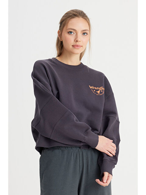 Wrangler Relaxed Fit Geniş Kesim Bisiklet Yaka %100 Pamuk Siyah Sweatshirt - S000530652-29666