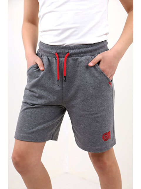 Toontoykids Erkek Çocuk 01 Nakışlı Şort - S000417477-29666