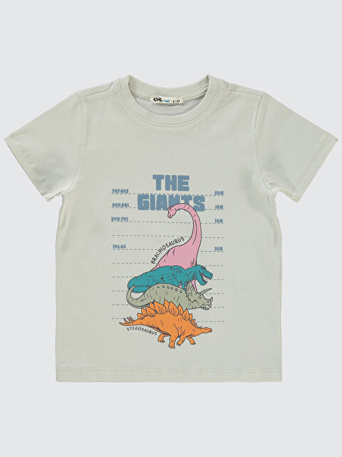 Civil Boys Erkek Çocuk Tişört 2-5 Yaş Açık Gri - S000359355-17308