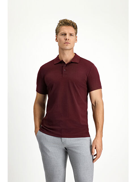 Kiğılı Slim Fit Dar Kesim Pamuklu Polo Yaka Tişört