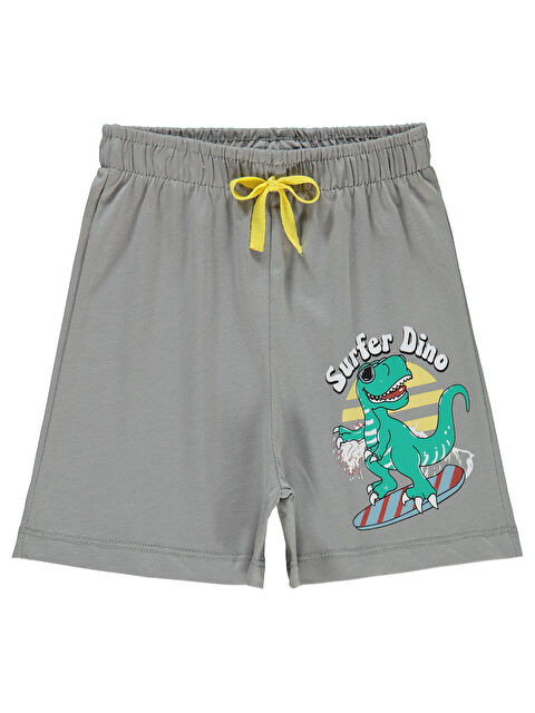 Civil Boys Erkek Çocuk Şort 2-5 Yaş Açık Gri - S000369285-17308