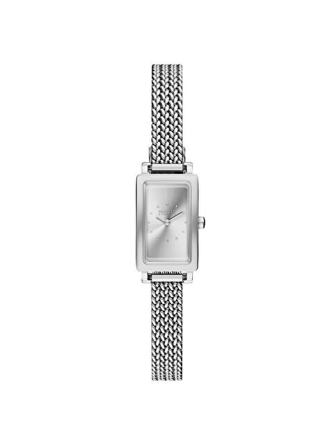 Skagen SKW3179 Kadın Kol Saati