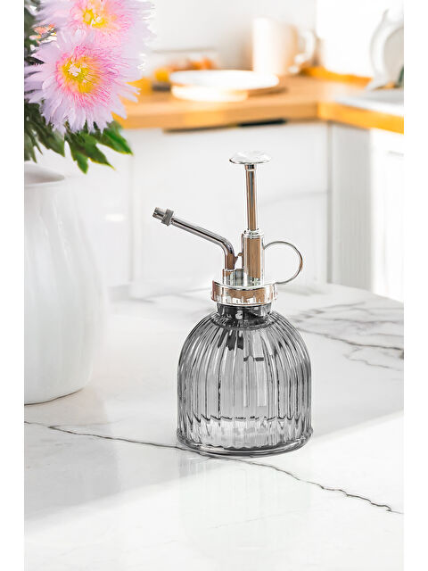 Perotti 15731 Gri Vintage Cam Bitki Sulama Şişesi Oda Kokusu Dağıtıcı Çok Amaçlı Sprey Şişe 250 ml - S000373106-17308
