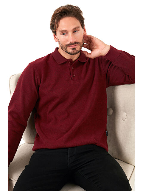 Buratti Pamuk Karışımlı Regular Fit Polo Yaka Erkek Kazak 456223