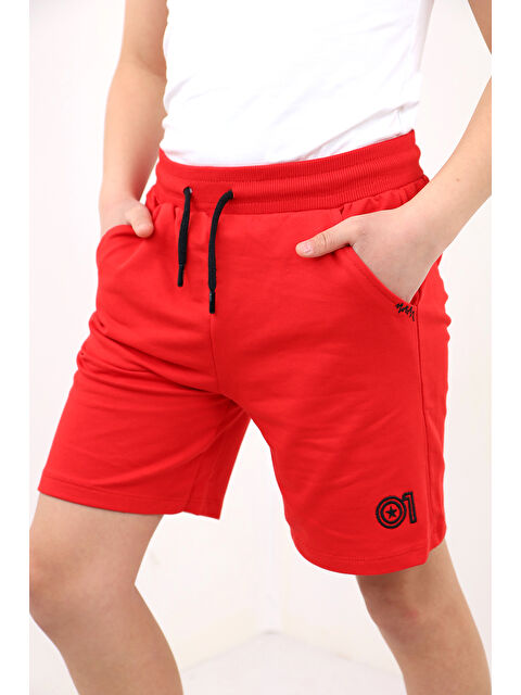 Toontoykids Erkek Çocuk 01 Nakışlı Şort - S000417477-20045
