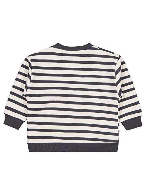 Civil Boys Panda Çantalı 2-5 Yaş Sweatshirt - S000469192-29666