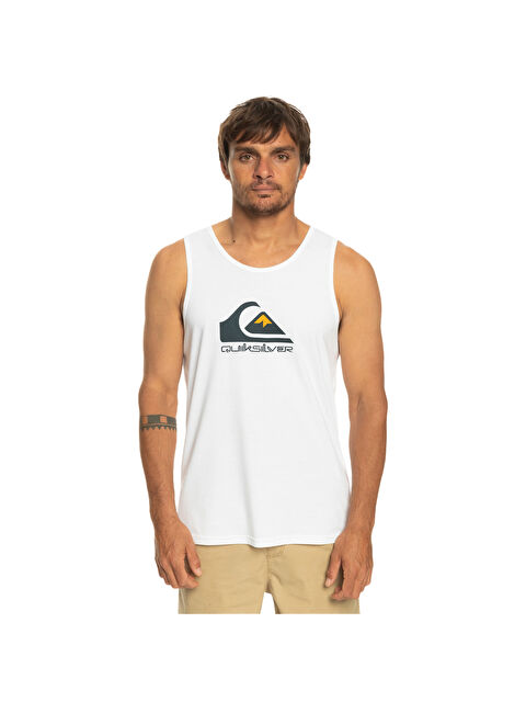 Quiksilver BIGLOGO M TEES - S000500897-20063