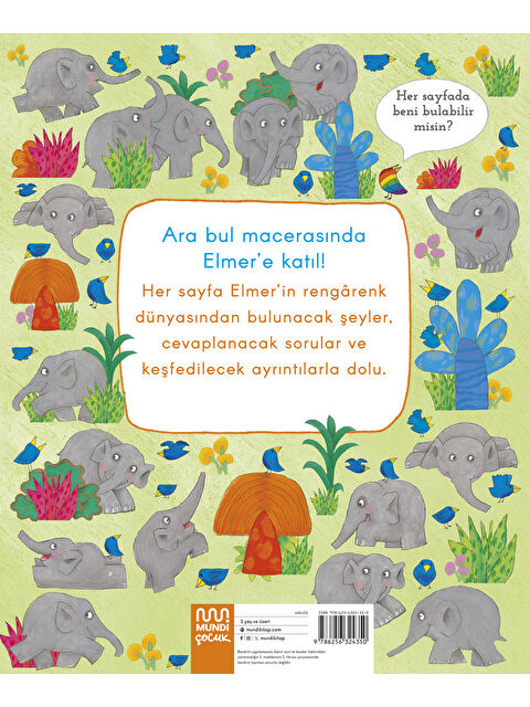 Mundi Elmer Ara Bul - S000253888-10231