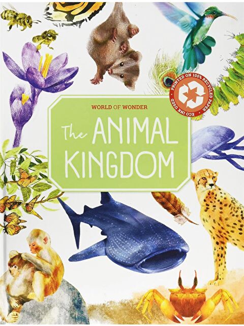Yoyo Books World of Wonder: Animal Kingdom - S000456982-23173