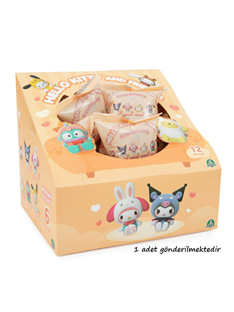Hello Kitty Sürpriz Kıyafet Degiştirme Partisi HKT46000