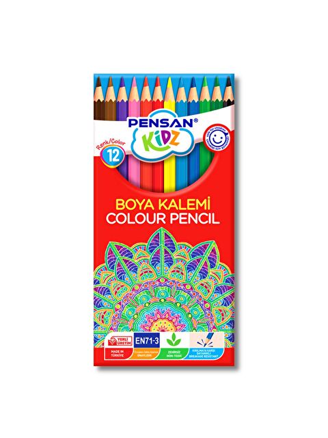 Pensan Karton Kutu Tam Boy Kuru Boya 12 Renk (56312) - S000346809-23173