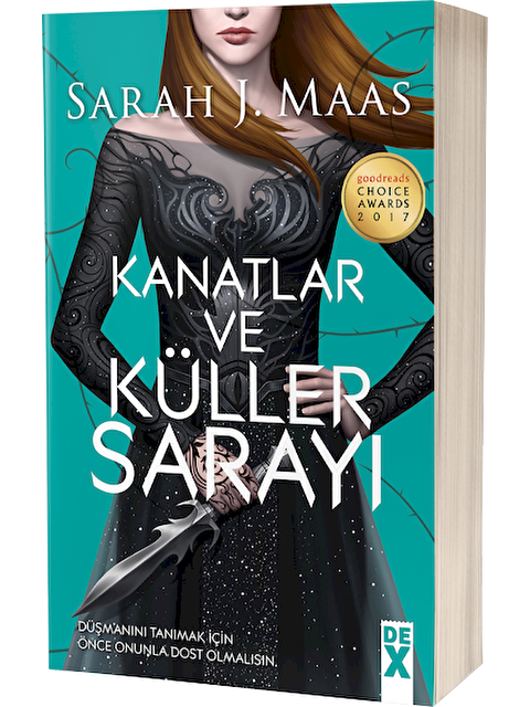 DEX Kitap Kanatlar Ve Küller Sarayı - Sarah J. Maas - S000060219-20063