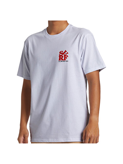 Quiksilver Surf Moe Erkek Beyaz Tişört - S000489097-20063