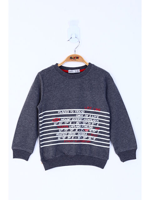 Toontoykids Erkek Çocuk Yazı Baskılı Sweatshirt