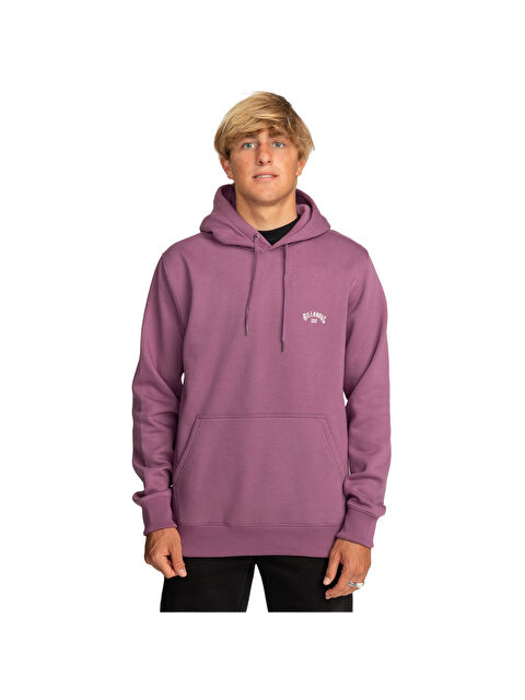 Billabong Arch Po Erkek Mor Sweatshirt - S000501690-20042
