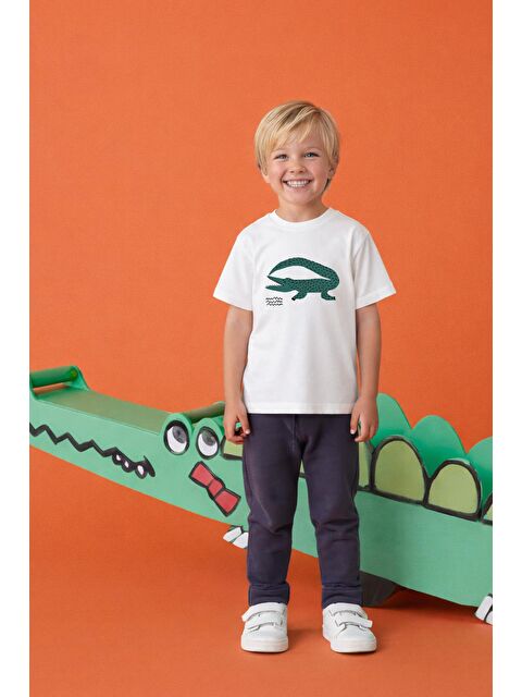 Monila Erkek Çocuk Antrasit Timsah Baskılı Pamuklu Altüst Takım - S000515020-19965