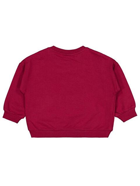 Civil Baby Mini Crew Baskılı 6-18 Ay Sweatshirt - S000469290-19951