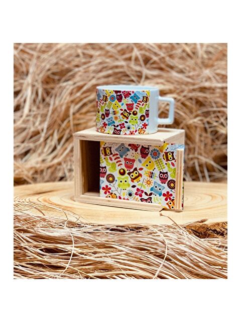 Bam Hediyelik Eşya Baykuş Tasarımlı Kutulu Kupa - S000290059-23173