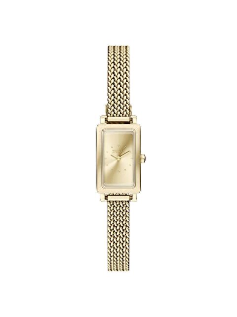 Skagen SKW3178 Kadın Kol Saati