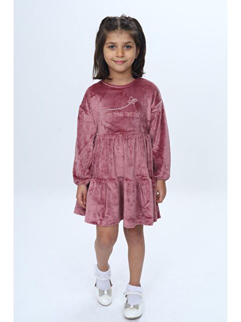 Toontoykids Kız Çocuk Nakışlı Elbise