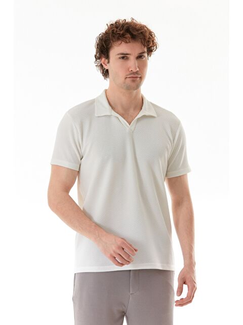 Fullamoda Geometrik Desen Polo Yaka Büyük Beden Tişört - S000380518-19965