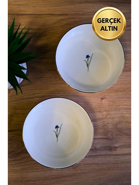 TABAK EVİ Porselen Natura İris Altın Yaldızlı Kase 13,50x4cm 460cc 2 li - S000489427-23173