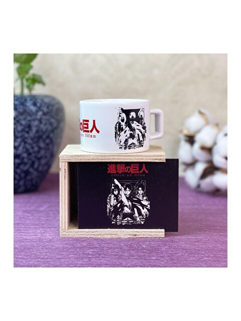 Bam Hediyelik Eşya Hero Attack On Titan Tasarımlı Kutulu Kupa - S000290121-23173