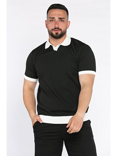 Mishar İtalia Polo Yaka Çizgi Desenli Erkek Triko Tişört - S000399762-19351