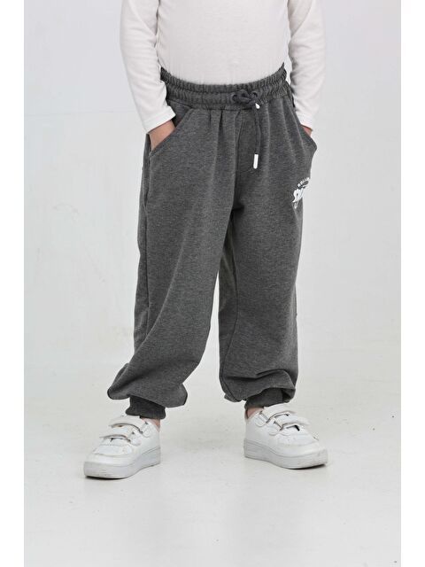 Toontoykids Erkek Çocuk Skate Baskılı Eşofman Alt - S000457306-29666