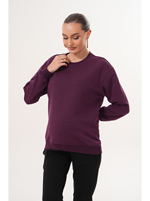 MİSS DÜNYA LİSSA Bisiklet Yaka %100 Pamuk Hamile ve Lohusa Basic Sweatshirt - S000485838-20042
