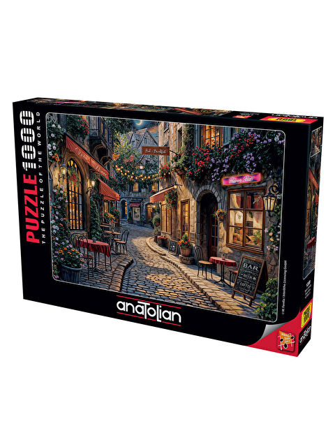 Anatolian Puzzle 1000 Parça Barlar Sokağı 1208