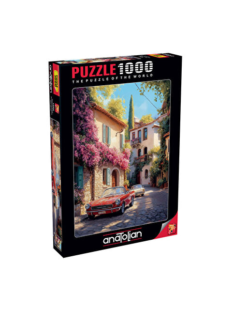 Anatolian Puzzle 1000 Parça Begonvil Sokak 1202