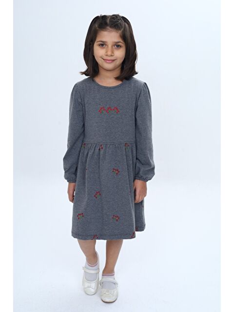 Toontoykids Kız Çocuk Relax Fit Bisiklet Yaka Uzun Kollu Baskılı Elbise - S000497576-29666