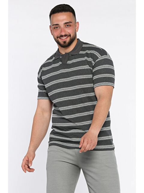Mishar İtalia Polo Yaka Çizgili Erkek Tişört - S000399827-29666