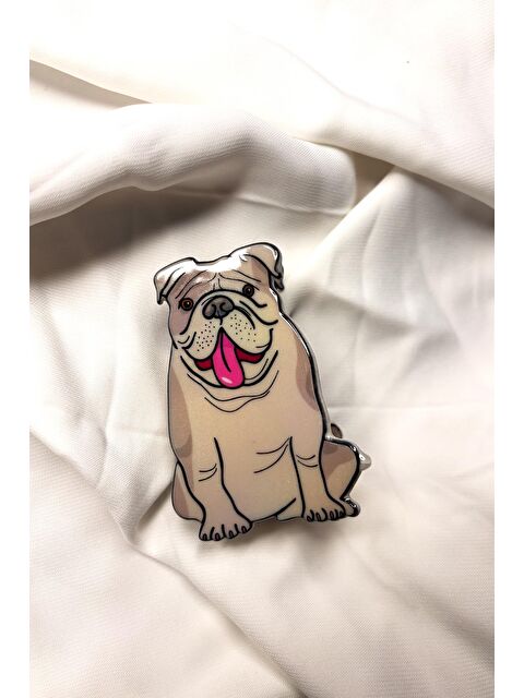 New Obsessions Bulldog Asetat kadın Mandal Toka - S000350779-20600