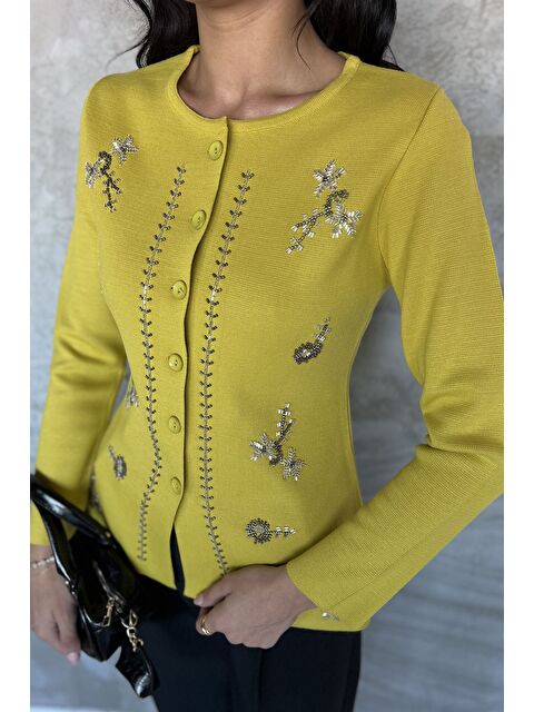 Gülseli Taşlı Triko Hırka - S000445304-18194