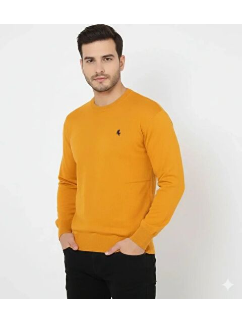 Jane's Erkek Bisiklet Yaka Nakış Işlemeli Triko Kazak Yumuşak Dokulu Pamuklu Ince Dokuma, Uzun Kollu Rahat