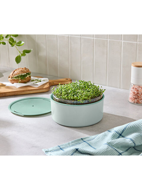 Tchibo Bitki Yetiştirme Seti, “Microgreens” - S000522719-20063