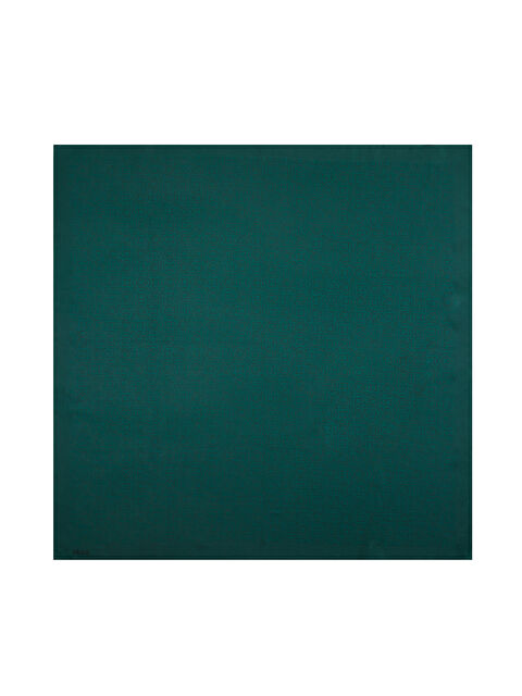 AKER 3840705 Liyosel Yeşil Eşarp - S000479666-18194