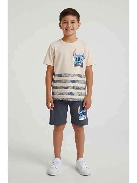 Cansın Mini Füme Palmiye Desenli Çizgili Tişörtlü Erkek Çocuk Şortlu 2li Takım 23933