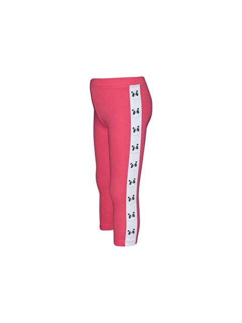 Lovetti Nar Çiceği Kız Çocuk Şardonlu Yanda Panda Baskılı Tayt - S000422431-20048